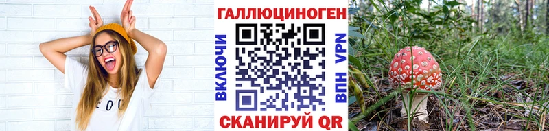 Псилоцибиновые грибы ЛСД  Евпатория 